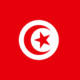 HornyTunisianEng