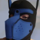 dogpoland22
