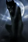 darkwolfy