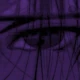TheLustfulGaze