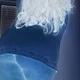 Lunarlolatetona