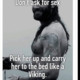 RideThisViking