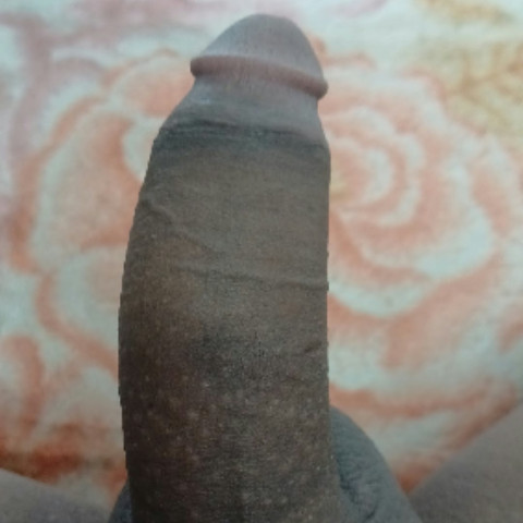raju00005Schedule