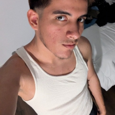 Ferchi_meow