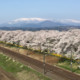 hirokazu248