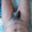 Desikajal321