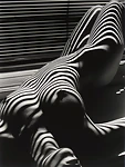 Exotica90