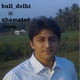 bull_delhi