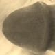 mnb2