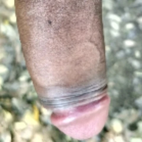 HumidAce17