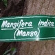 SudarshanXAnil
