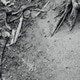 OchreDot11