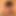 wildsamy-