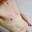 Mick_Thuringia