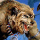 werwolf666999