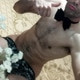 Davidjimenez90