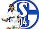 schalkefighter1904