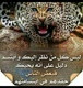 mustafa2017
