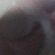 GODOO62