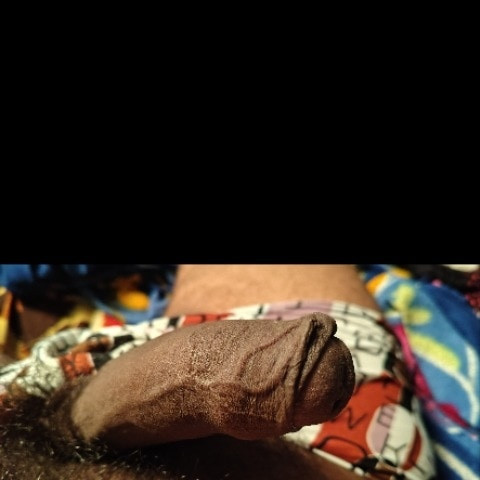 WearyChief37