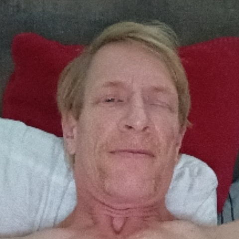 Looking2licku