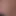 timshyguy1