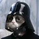 Pussy_Vader