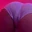 Kaylabenson204