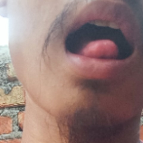 dwidenbangchiary