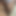 Hornybdj