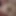 mylien01101960