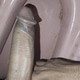 aruk236747