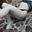 Aphrodite18
