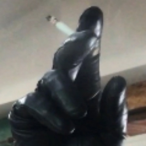 gloveguy