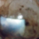 Allupinit68