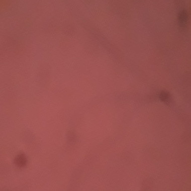 Pravindale