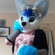 BlueHusky98uwu