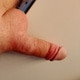 Daniosexiii