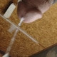 cockman257