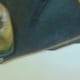 morboesclavosm