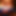 Little_Fucker_BG