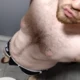 GullibleEquation