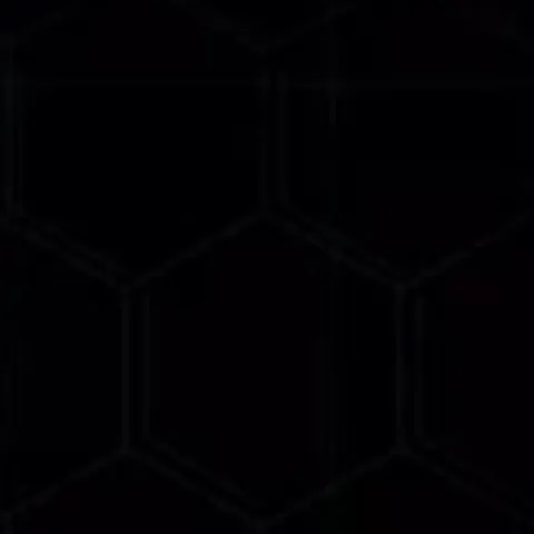 Rober_1256