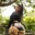 Hanna_Grayy