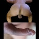 Do_it_for_fun