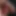 NudeTiger