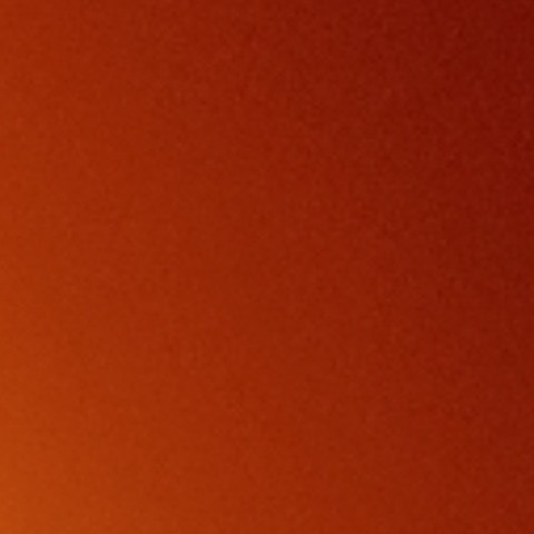 RaggedEuphoria1