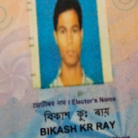 bikashrayy