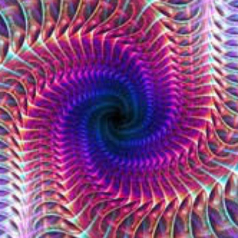 Thehumanevolutionpro