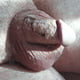 shortfatcock